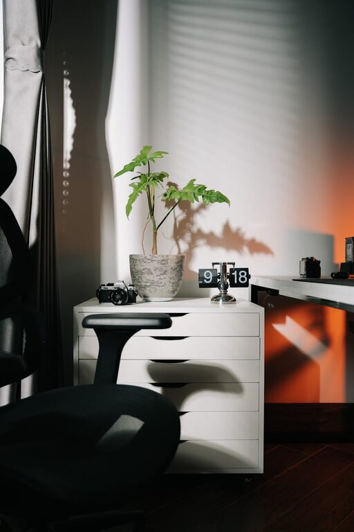 Tips for Creating a Relaxing Home Office Environment