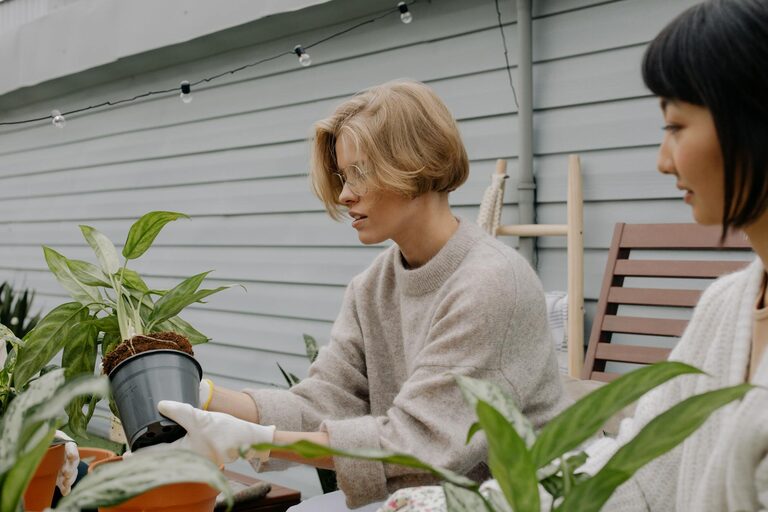 Tips for Creating a Beautiful and Functional Home Garden Throughout the Year